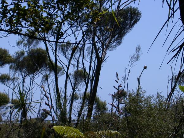 dscn0871