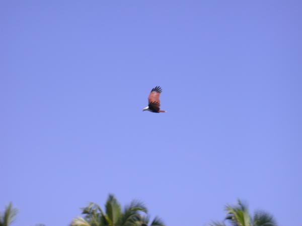 DSCN2006