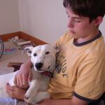 acd.jpg