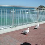 dscn0831