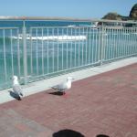 dscn0832