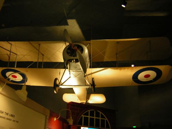 DSCN0229