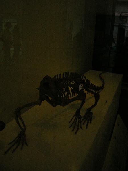 DSCN0266
