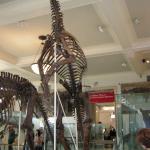 DSCN0292