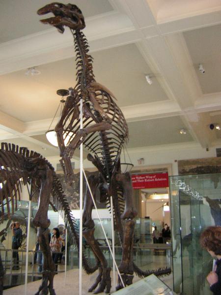 DSCN0292
