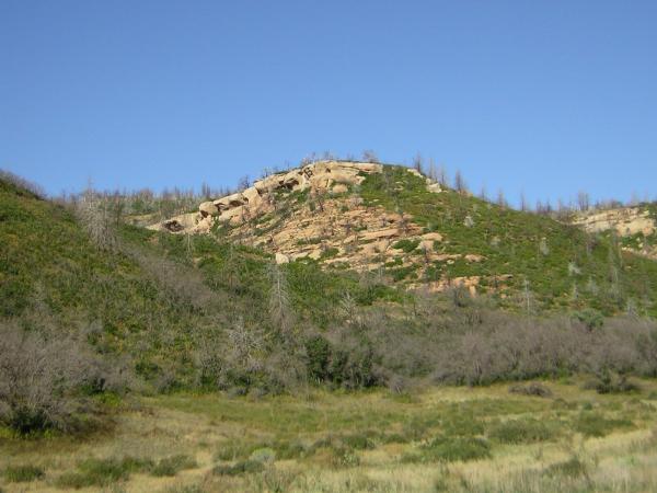 DSCN0120