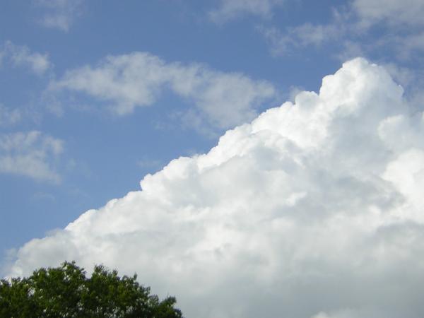 DSCN0362
