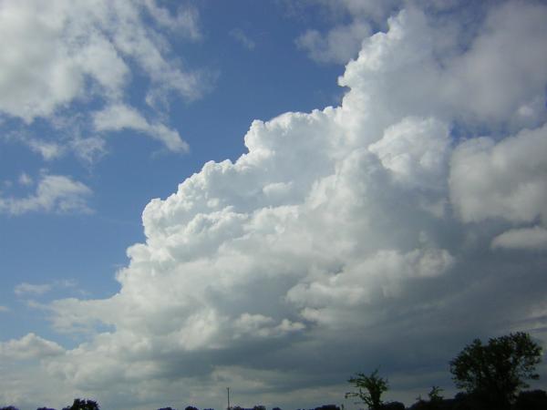 DSCN0364