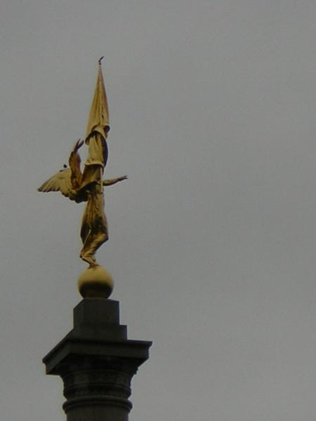 Washington DC