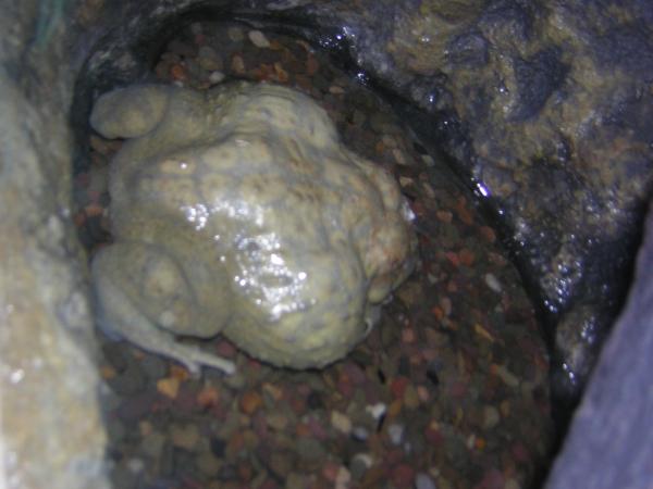 DSCN0560