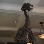 DSCN0609