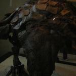DSCN0615