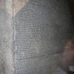 DSCN0446