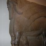 DSCN0455