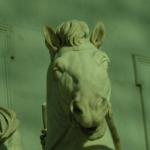 DSCN0464