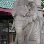 DSCN0699