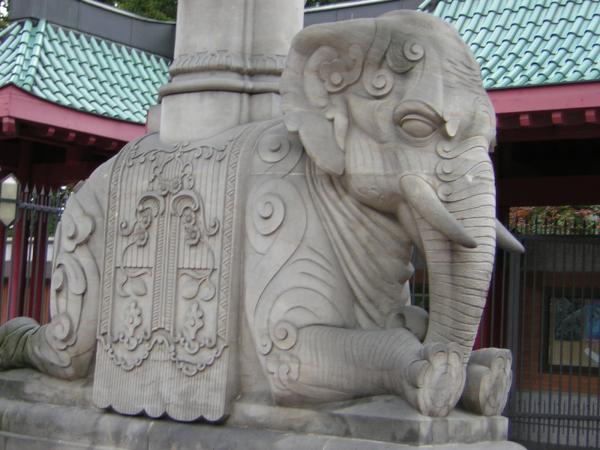 DSCN0703