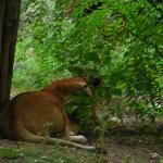 DSCN0707