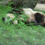 DSCN0710