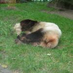 DSCN0713