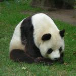 DSCN0729