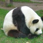 DSCN0730