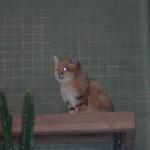 DSCN0734