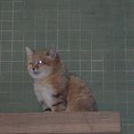 DSCN0735