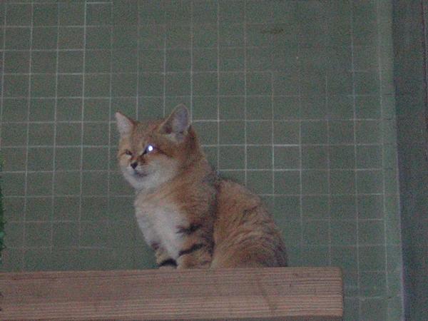 DSCN0735