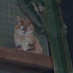 DSCN0736