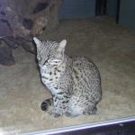 DSCN0737