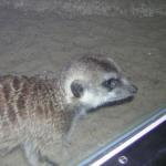 DSCN0743