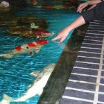DSCN0753