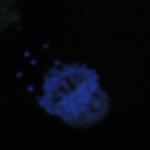 DSCN0760