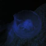 DSCN0776
