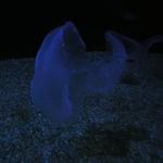 DSCN0777