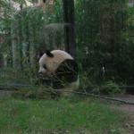 DSCN0785
