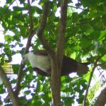 DSCN1576