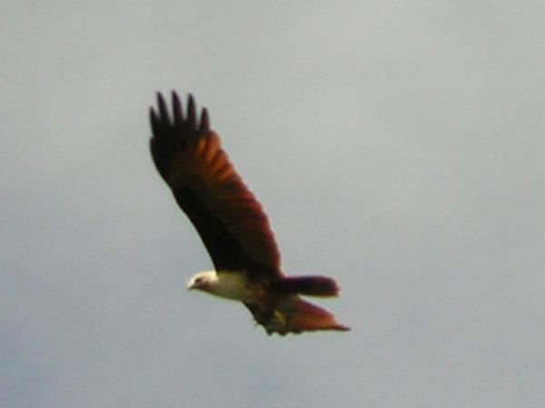 RSCN1569