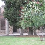 DSCN1192