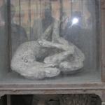 DSCN1201