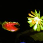 dscn2414