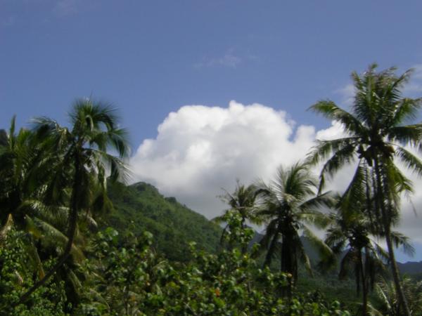 dscn3182
