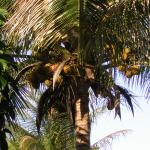 dscn3235