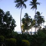 dscn3241